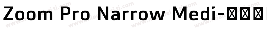 Zoom Pro Narrow Medi字体转换